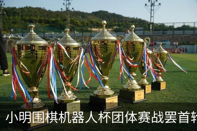小明围棋机器人杯团体赛战罢首轮 男子乙组三队全胜